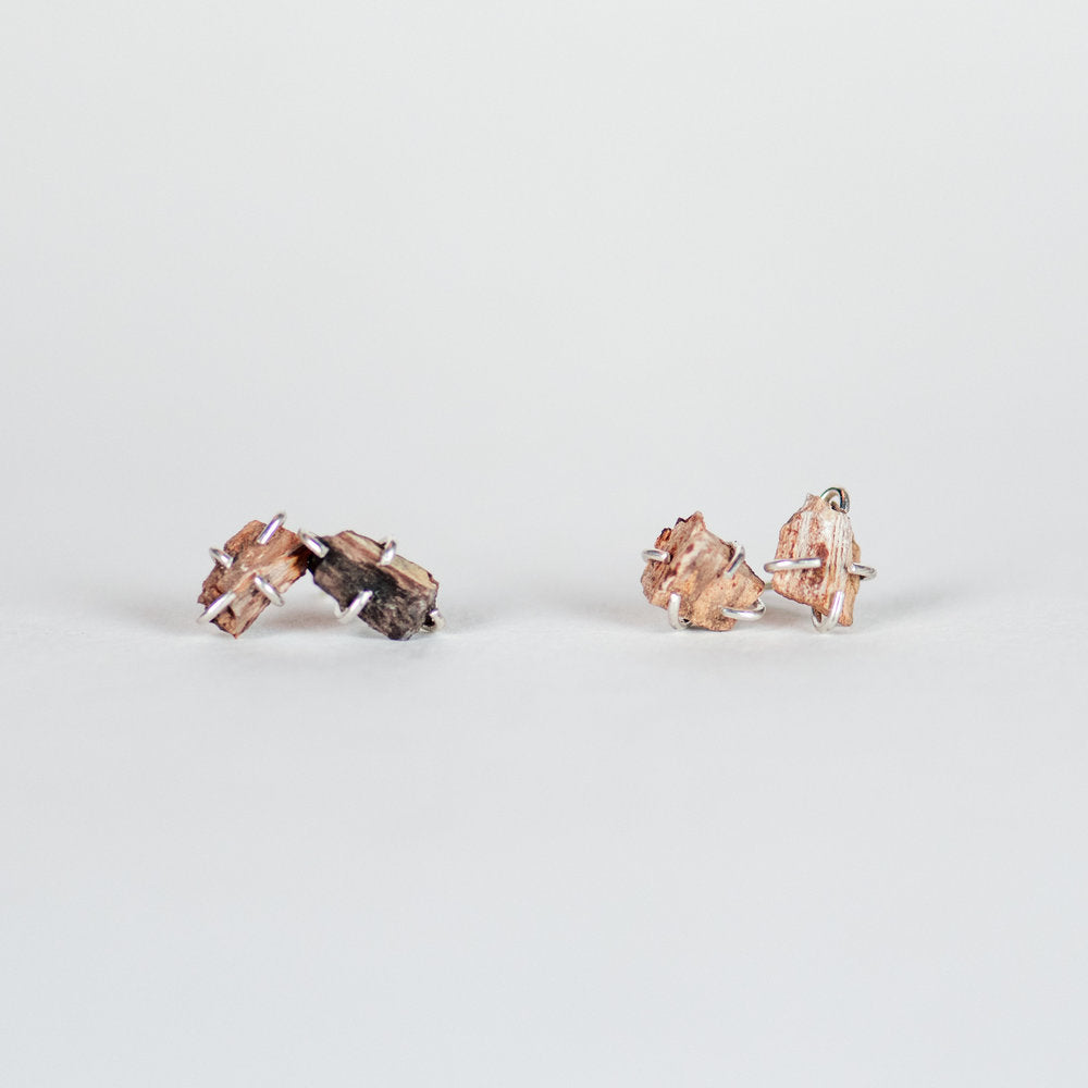 Petrified Wood Chela Studs