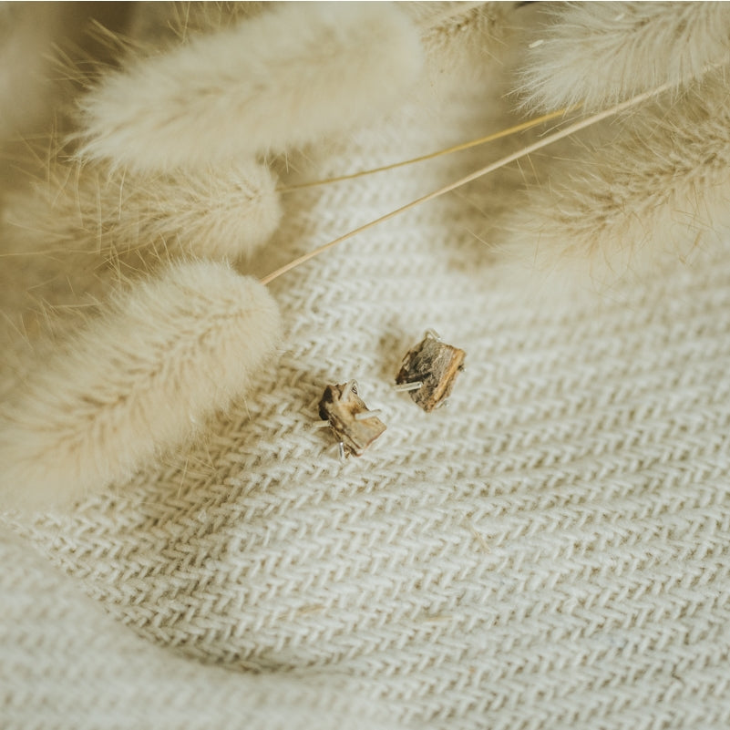 Petrified Wood Chela Studs