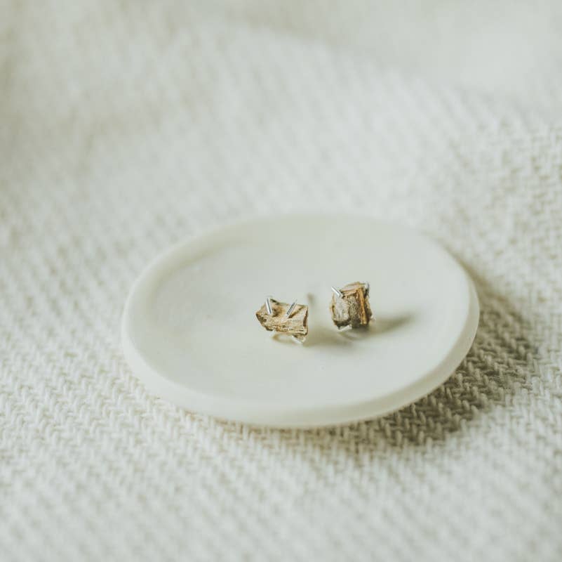 Petrified Wood Chela Studs