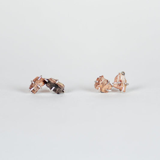 Petrified Wood Chela Studs