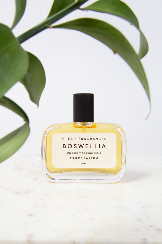 Boswellia, 50 ml