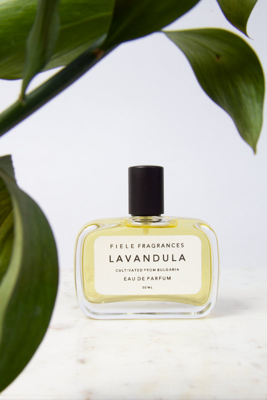 Lavandula, 50 ML